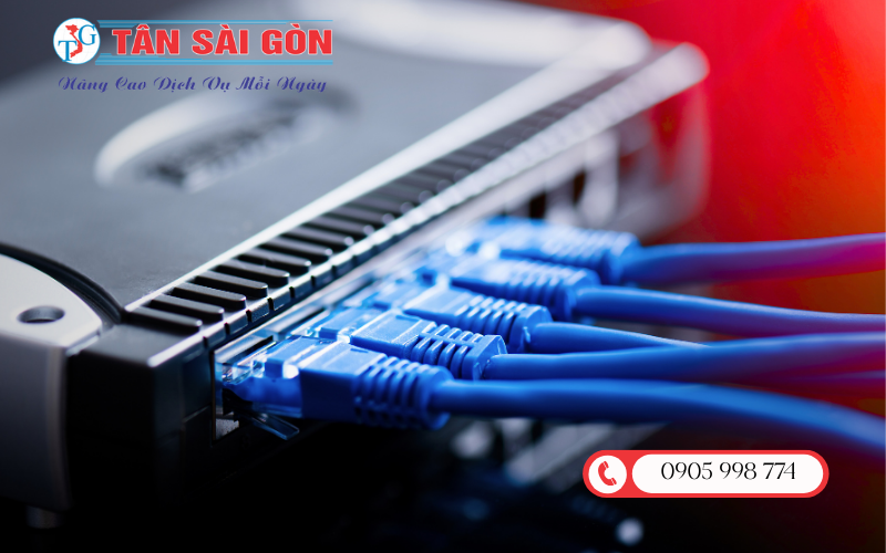 thiet-ke-mang-lan-cho-nha-may-quy-nhon-gia-lai