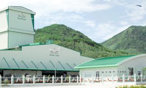 CÔNG TY CỔ PHẦN GREEN FEED VIỆT NAM – CN BÌNH ĐỊNH