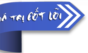 “Gieo chất lượng – Gặt niềm tin”