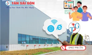 Giá Thi Công Mạng Nhà Máy Tại Quy Nhơn Gia Lai – Báo Giá Chi Tiết 2025